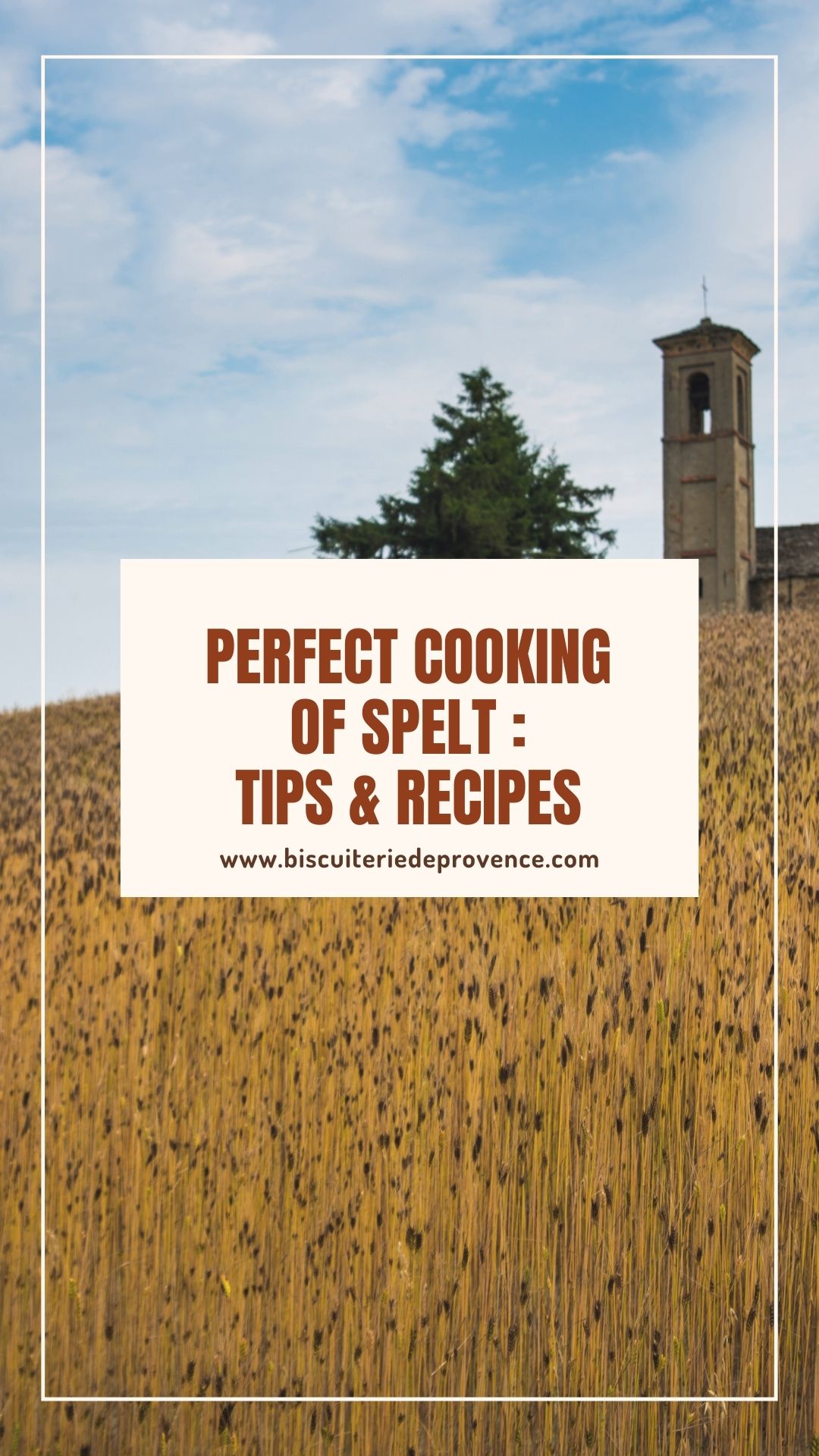 perfect cooking of spelt : recipes and tips